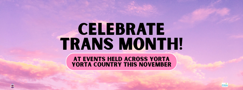 Trans month (Nov 2025)