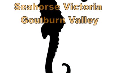 Seahorse Goulburn Valley